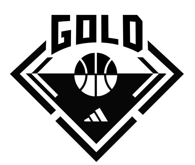 3sgb logo